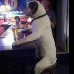 Rescue-Humor_Drunks-34