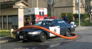 Funny police photo
