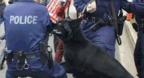 Funny Police, K9 bites cop