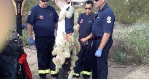 Funny EMS Photo