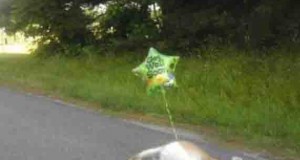 Funny Crash Photo