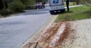 Funny Police photo