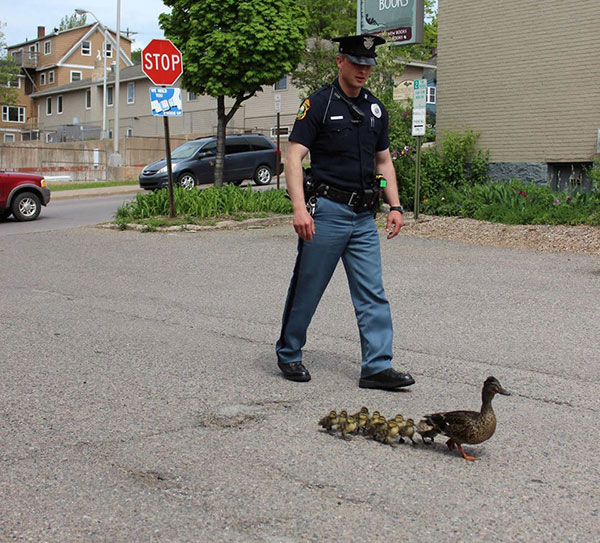 Nice cop