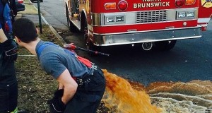 Firemen joking