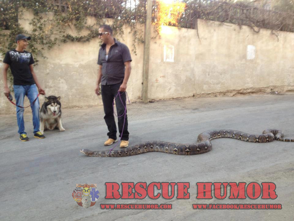 Rescue-Humor_WTF-3
