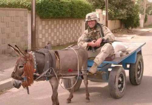 Funny-Army-08