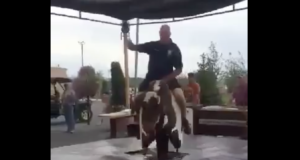 police on a bull