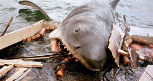 Shark Habit
