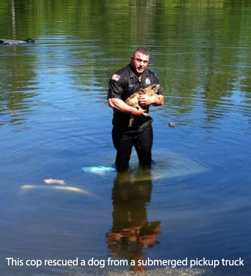 Rescue-Humor_Cops-are-cool-12