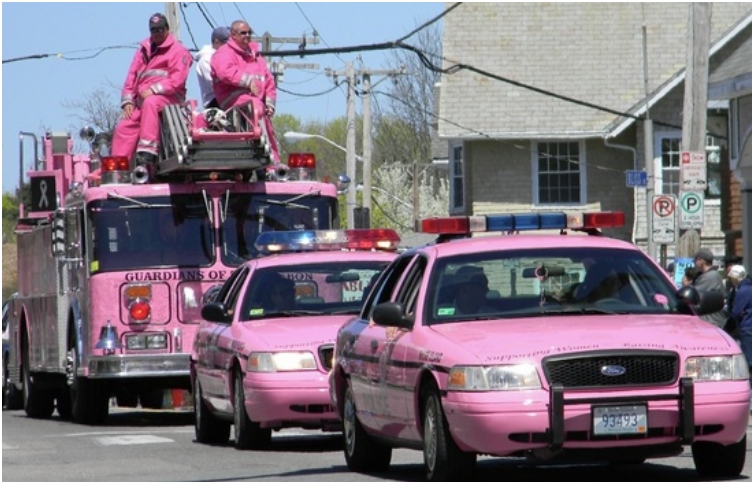 Pink-Cops